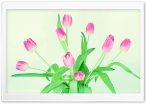 Tulips in a Vase Ultra HD Wallpaper for 4K UHD Widescreen desktop, tablet & smartphone