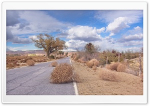Tumbleweeds Desert Road 4K UHD Wallpaper for Widescreen and UltraWide Desktop, UltraHD TV, Smartphone, Tablet