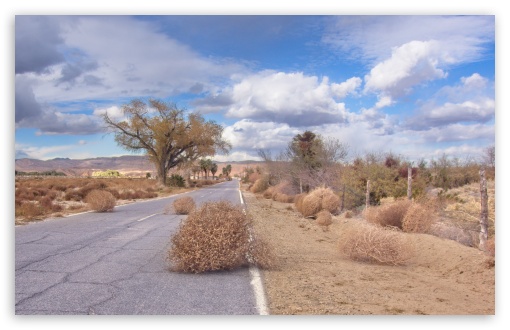 Tumbleweeds Desert Road UltraHD Wallpaper for UHD 16:9 ; HD 16:9 ; UltraWide 21:9 24:10 32:9 32:10 ; Widescreen 16:10 ; Tablet 1:1 ; Mobile 9:16 9:19.5 9:20 9:21 9:22 ; Dual 16:10 16:9 ;