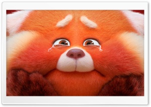Turning Red Panda Crying Ultra HD Wallpaper for 4K UHD Widescreen desktop, tablet & smartphone