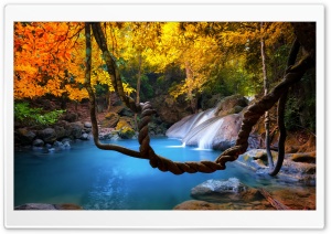 Turquoise Pond, Forest, Fall Colors 4K UHD Wallpaper for Widescreen and UltraWide Desktop, UltraHD TV, Smartphone, Tablet