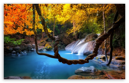 Turquoise Pond, Forest, Fall Colors 4K UHD Wallpaper for Widescreen and UltraWide Desktop, UltraHD TV, Smartphone, Tablet Turquoise Pond, Forest, Fall Colors UltraHD Wallpaper for HD 16:9 ; UltraWide 21:9 ; Widescreen 16:10 5:3 ; Fullscreen 4:3 5:4 3:2 ; Tablet 1:1 ; Mobile 9:16 9:19.5 9:20 10:16 2:3 3:5 3:4 ;