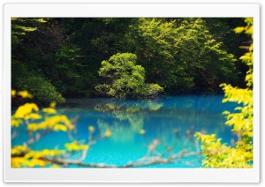 Turquoise Volcanic Lake, Trees, Japan 4K UHD Wallpaper for Widescreen and UltraWide Desktop, UltraHD TV, Smartphone, Tablet