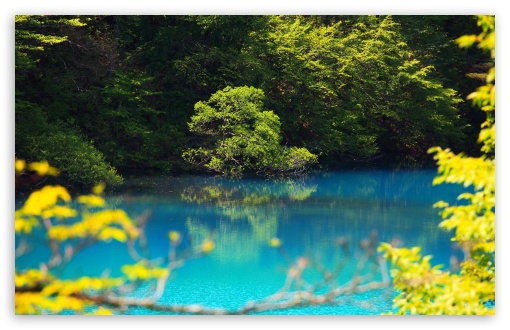 Turquoise Volcanic Lake, Trees, Japan UltraHD Wallpaper for UHD 16:9 ; HD 16:9 ; UltraWide 21:9 24:10 32:9 32:10 ; Widescreen 16:10 5:3 ; Fullscreen 4:3 5:4 3:2 ; Tablet 1:1 ; Mobile 9:16 9:19.5 9:20 9:21 9:22 10:16 2:3 3:5 3:4 ; Dual 16:10 5:3 16:9 4:3 5:4 3:2 ;