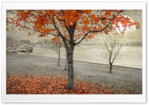 Twilight Autumn Ultra HD Wallpaper for 4K UHD Widescreen desktop, tablet & smartphone