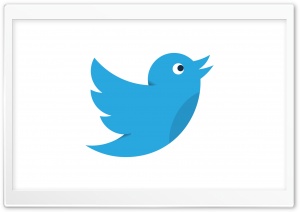 Twitter Bird Social Media Ultra HD Wallpaper for 4K UHD Widescreen desktop, tablet & smartphone
