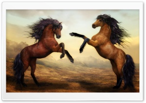 Two Beautiful Horses Fighting Ultra HD Wallpaper for 4K UHD Widescreen desktop, tablet & smartphone