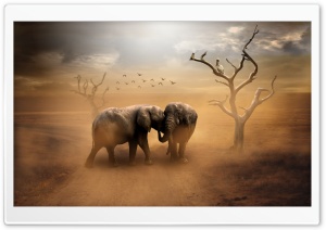 Two Elephants, Wild Animals, Dust Ultra HD Wallpaper for 4K UHD Widescreen desktop, tablet & smartphone
