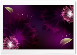 Two Purple Flowers Ultra HD Wallpaper for 4K UHD Widescreen desktop, tablet & smartphone