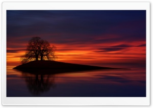 Two Trees Ultra HD Wallpaper for 4K UHD Widescreen desktop, tablet & smartphone