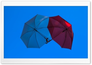 Two Umbrellas Ultra HD Wallpaper for 4K UHD Widescreen desktop, tablet & smartphone