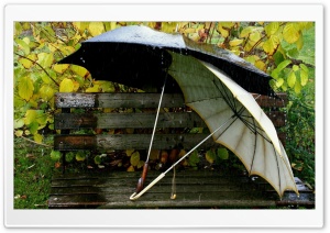 Umbrellas On The Bench Ultra HD Wallpaper for 4K UHD Widescreen desktop, tablet & smartphone