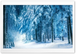 Under Heavy Snow Ultra HD Wallpaper for 4K UHD Widescreen desktop, tablet & smartphone