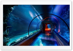 Underwater Passage, Las Vegas Ultra HD Wallpaper for 4K UHD Widescreen desktop, tablet & smartphone
