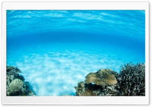 Underwater, Summer Ultra HD Wallpaper for 4K UHD Widescreen desktop, tablet & smartphone