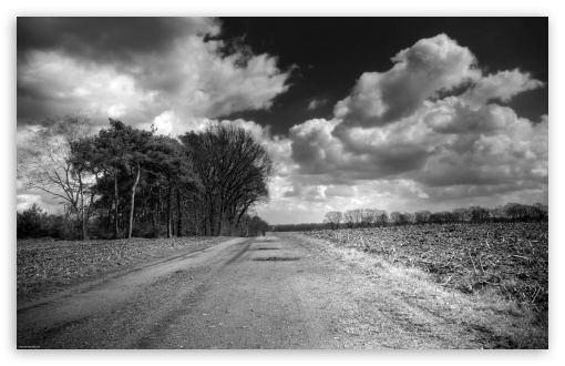 Unpaved Road UltraHD Wallpaper for Wide 16:10 5:3 Widescreen WHXGA WQXGA WUXGA WXGA WGA ; 8K UHD TV 16:9 Ultra High Definition 2160p 1440p 1080p 900p 720p ; Standard 4:3 5:4 3:2 Fullscreen UXGA XGA SVGA QSXGA SXGA DVGA HVGA HQVGA ( Apple PowerBook G4 iPhone 4 3G 3GS iPod Touch ) ; Tablet 1:1 ; iPad 1/2/Mini ; Mobile 4:3 5:3 3:2 16:9 5:4 - UXGA XGA SVGA WGA DVGA HVGA HQVGA ( Apple PowerBook G4 iPhone 4 3G 3GS iPod Touch ) 2160p 1440p 1080p 900p 720p QSXGA SXGA ; Dual 16:10 5:3 16:9 4:3 5:4 WHXGA WQXGA WUXGA WXGA WGA 2160p 1440p 1080p 900p 720p UXGA XGA SVGA QSXGA SXGA ;