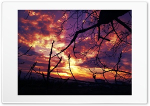 Untitled Ultra HD Wallpaper for 4K UHD Widescreen desktop, tablet & smartphone