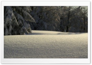 Untouched Snow Ultra HD Wallpaper for 4K UHD Widescreen desktop, tablet & smartphone