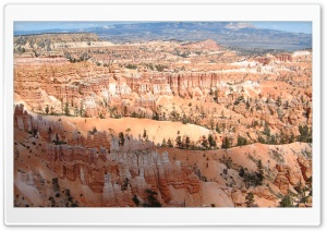 USA 4K UHD Wallpaper for Widescreen and UltraWide Desktop, UltraHD TV, Smartphone, Tablet