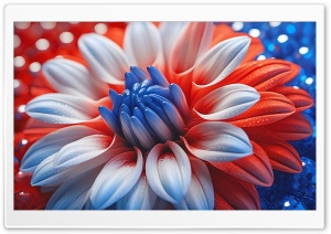 USA Colors Flower Ultra HD Wallpaper for 4K UHD Widescreen desktop, tablet & smartphone