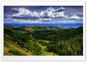Utah Forest Clouds Ultra HD Wallpaper for 4K UHD Widescreen desktop, tablet & smartphone