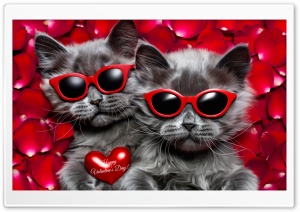 Valentines Day Delight Trendy Kittens on Red Roses Ultra HD Wallpaper for 4K UHD Widescreen Desktop, Lockscreen, Screensaver, TV, Tablet, Smartphone