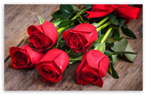 Valentines Day Romantic Red Roses Flowers UltraHD Wallpaper for UHD 16:9 ; HD 16:9 ; UltraWide 21:9 24:10 ; Widescreen 16:10 5:3 ; Fullscreen 4:3 5:4 3:2 ; Tablet 1:1 ; Dual 4:3 5:4 ;