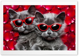 Valentines Day Vibes Stylish Kittens Relaxing on Rose Petals Ultra HD Wallpaper for 4K UHD Widescreen Desktop, Lockscreen, Screensaver, TV, Tablet, Smartphone