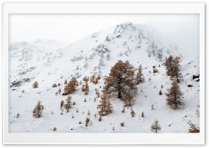Vallee de la Claree, French Alps, Winter Ultra HD Wallpaper for 4K UHD Widescreen desktop, tablet & smartphone