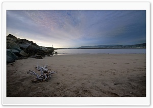 Ventura Beach Driftwood 4K UHD Wallpaper for Widescreen and UltraWide Desktop, UltraHD TV, Smartphone, Tablet