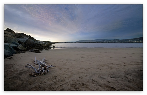 Ventura Beach Driftwood UltraHD Wallpaper for HD 16:9 ; Widescreen 16:10 5:3 ; Fullscreen 4:3 5:4 3:2 ; Tablet 1:1 ; Mobile 3:5 3:4 ; Dual 4:3 5:4 ;