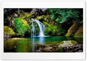 vercors forest 4K UHD Wallpaper for Widescreen and UltraWide Desktop, UltraHD TV, Smartphone, Tablet