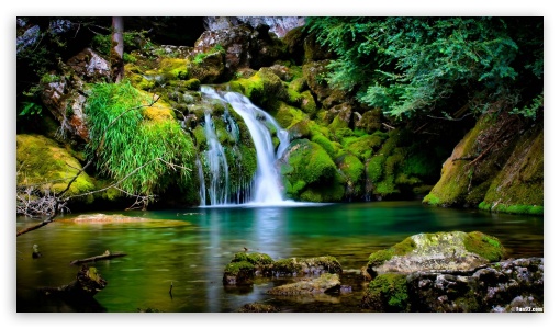 vercors forest UltraHD Wallpaper for HD 16:9 ;