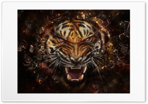 very afraid 4K UHD Wallpaper for Widescreen and UltraWide Desktop, UltraHD TV, Smartphone, Tablet
