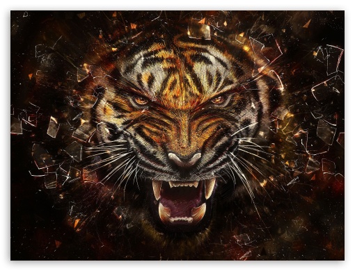 very afraid UltraHD Wallpaper for Fullscreen 4:3 ;