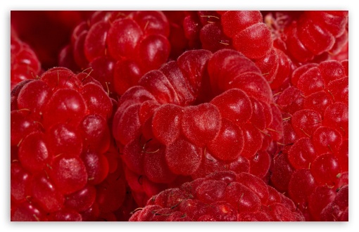 Vibrant Berry Close Up UltraHD Wallpaper for UHD 16:9 ; HD 16:9 ; UltraWide 21:9 24:10 ; Widescreen 16:10 5:3 ; Fullscreen 4:3 5:4 3:2 ; Tablet 1:1 ;