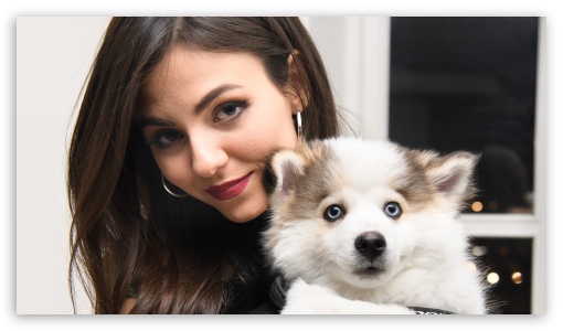 Victoria Justice Puppy UltraHD Wallpaper for HD 16:9 ;