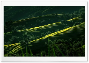 Vietnam Nature Scenery Ultra HD Wallpaper for 4K UHD Widescreen desktop, tablet & smartphone