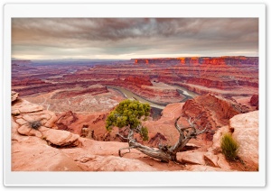 View of the Colorado River and Canyonlands National Park from Dead Horse Point Ultra HD Wallpaper for 4K UHD Widescreen desktop, tablet & smartphone