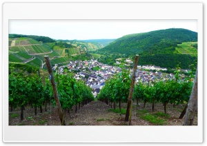 Vineyards Over Dernau Eifel Ultra HD Wallpaper for 4K UHD Widescreen Desktop, Lockscreen, Screensaver, TV, Tablet, Smartphone