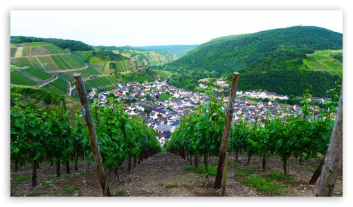 Vineyards Over Dernau Eifel UltraHD Wallpaper for UHD 16:9 ; HD 16:9 ;