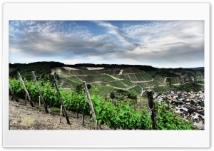 Vineyards Over Dernau Eifel Ultra HD Wallpaper for 4K UHD Widescreen Desktop, Lockscreen, Screensaver, TV, Tablet, Smartphone