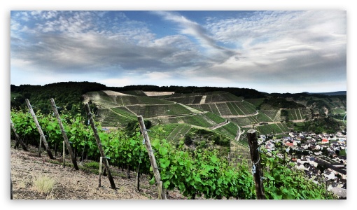 Vineyards Over Dernau Eifel UltraHD Wallpaper for UHD 16:9 ; HD 16:9 ;