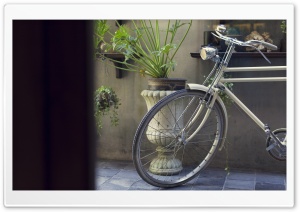 Vintage Bicycle Ultra HD Wallpaper for 4K UHD Widescreen desktop, tablet & smartphone