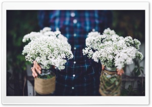 Vintage Wedding Flowers in Jars Ultra HD Wallpaper for 4K UHD Widescreen desktop, tablet & smartphone