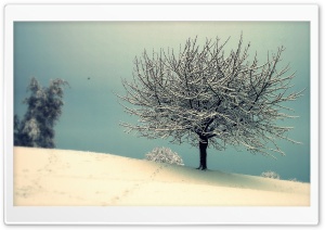 Vintage Winter Landscape Ultra HD Wallpaper for 4K UHD Widescreen desktop, tablet & smartphone