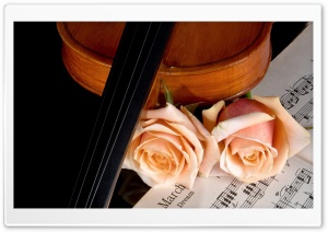 Violin And Peach Roses Ultra HD Wallpaper for 4K UHD Widescreen desktop, tablet & smartphone