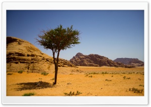 Wadi Rum Ultra HD Wallpaper for 4K UHD Widescreen desktop, tablet & smartphone
