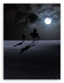Walk Through The Desert UltraHD Wallpaper for Mobile 4:3 5:3 3:2 - UXGA XGA SVGA WGA DVGA HVGA HQVGA ( Apple PowerBook G4 iPhone 4 3G 3GS iPod Touch ) ;