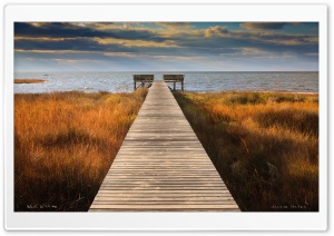 Walk With Me Ultra HD Wallpaper for 4K UHD Widescreen desktop, tablet & smartphone